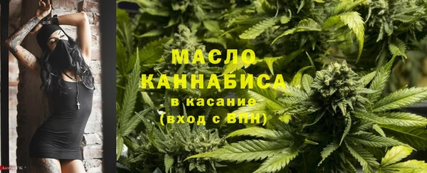 индика Армянск