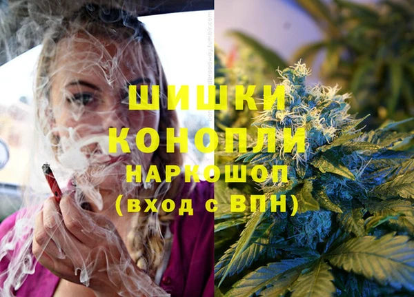 индика Армянск