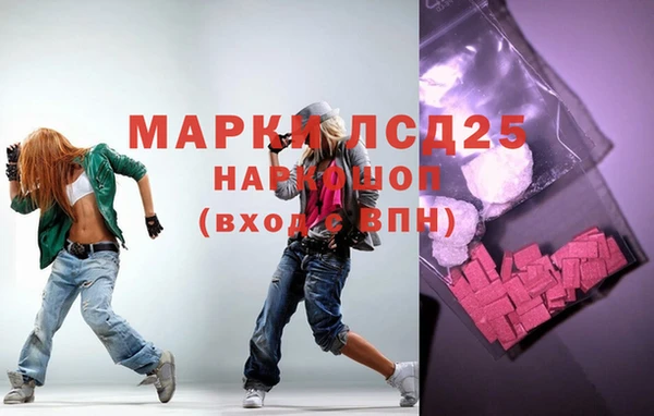 индика Армянск