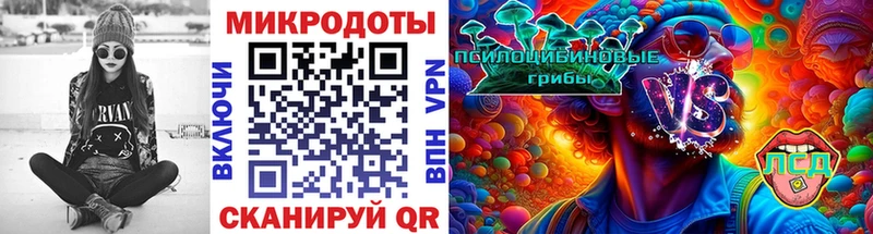 Галлюциногенные грибы Psilocybe  Купить  Среднеуральск 